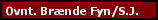 Ovnt�rret br�nde til br�ndeovnen leveret til Fyn S�nderjylland