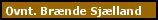 Ovnt�rret pejsebr�nde klar til brug Sj�lland Lolland Falster